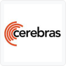 Cerebras Systems